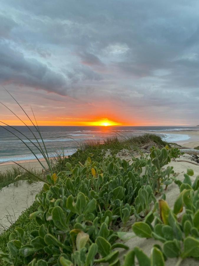 Soutelande Country Stay - Close To 1#Beach In Pe Port Elizabeth Exterior photo
